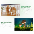 Dual Back + Dual Front Cameras, Screen Fingerprint Identification, 6.78 inch HarmonyOS Qualcomm Snapdragon 778G 4G Octa Core up to 2.4GHz, Network: 4G, OTG, NFC, Not Support Google Play, nova 11 Pro 256GB, nova 11 Pro 256GB Kunlun Glass